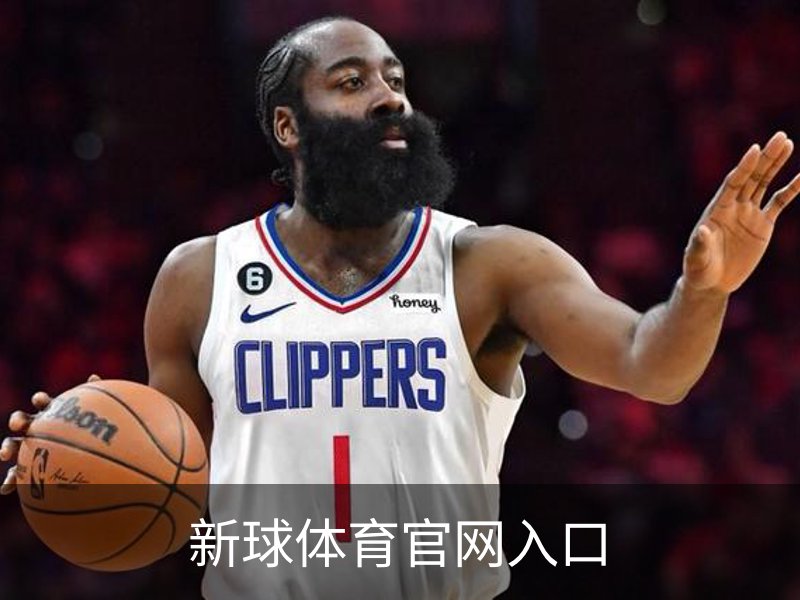 新球体育官网入口介绍
